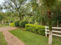 Topo do site do usuário